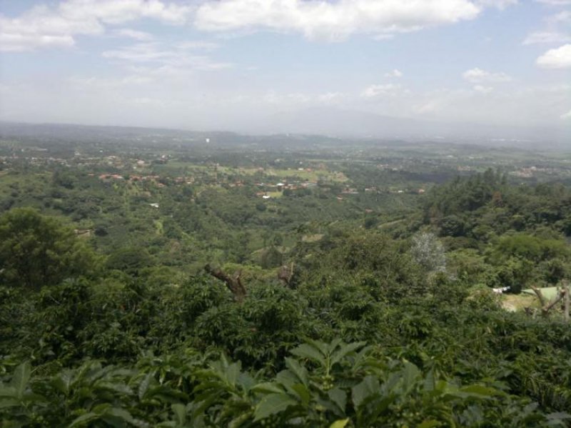 Foto Terreno en Venta en Grecia, Alajuela - ¢ 85.000.000 - TEV8697 - BienesOnLine