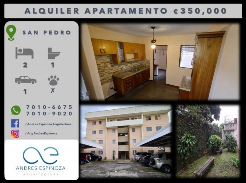 Foto Apartamento en Alquiler en San Pedro, San José - ¢ 350.000 - APA28388 - BienesOnLine