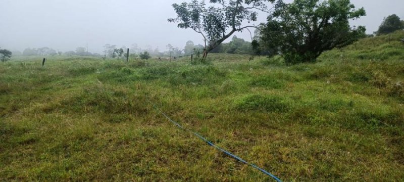 Espectacular finca multiuso en Río Cuarto de Alajuela. 