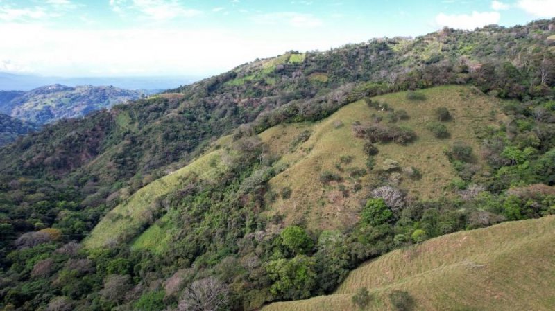 Finca en Venta en Estanquillos Atenas, Alajuela