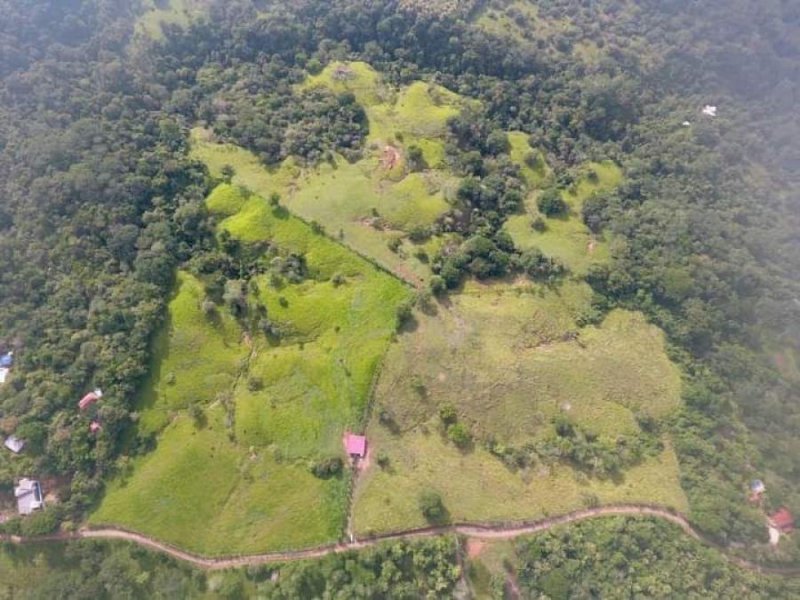 Finca en Venta en Montezuma Cobano, Puntarenas