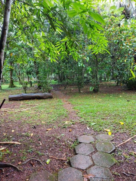 Finca en Venta en  San Carlos, Alajuela