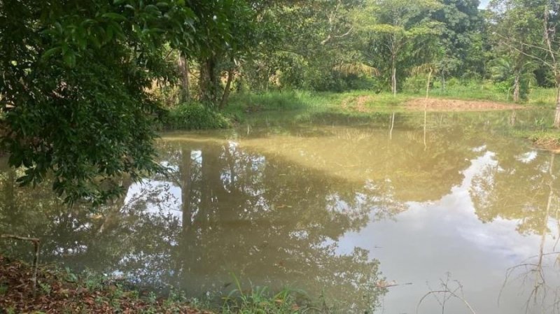 Finca en Venta en  Caño Negro, Alajuela