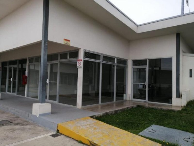 Local Comercial De 45 M² En Alquiler Carmen Guadalupe; Idi: 139311