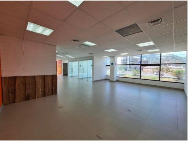 Foto Oficina en Alquiler en San Rafael, San José - U$D 2.585 - OFA75866 - BienesOnLine