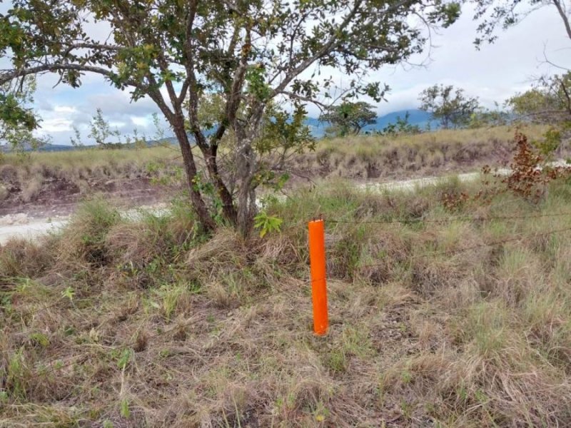 Foto Terreno en Venta en Curubandé, Liberia, Guanacaste - ¢ 14.500.000 - TEV108676 - BienesOnLine