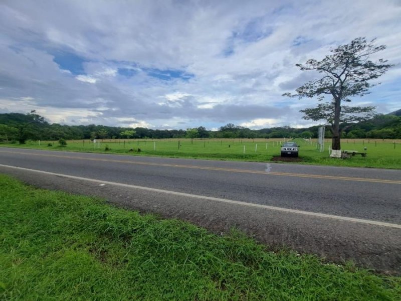 Foto Terreno en Venta en Santa Cruz, Santa Cruz, Guanacaste - ¢ 43.000.000 - TEV108890 - BienesOnLine