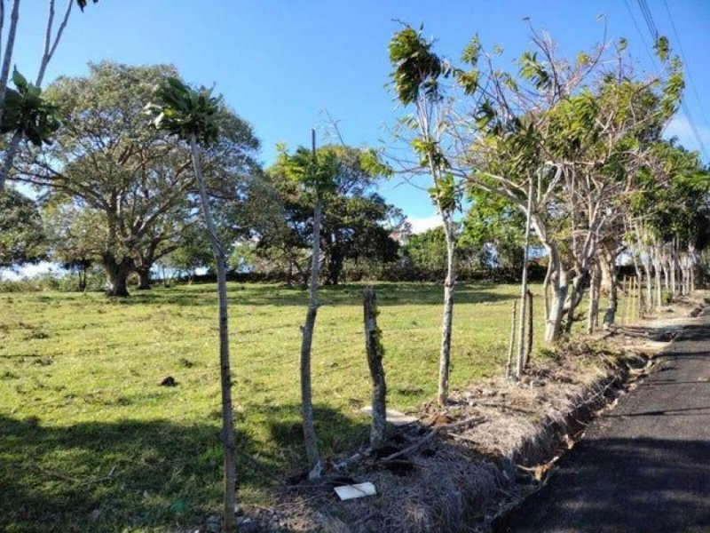 Terreno en Venta en  Concepción, Heredia