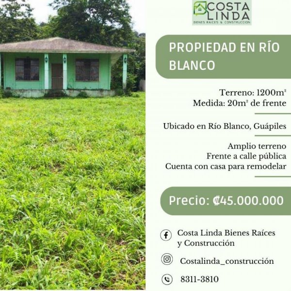 Foto Terreno en Venta en Río Blanco, Guápiles, Limón - ¢ 45.000.000 - TEV109102 - BienesOnLine