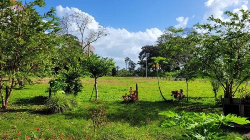 Terreno en Venta en  Matama, Limón