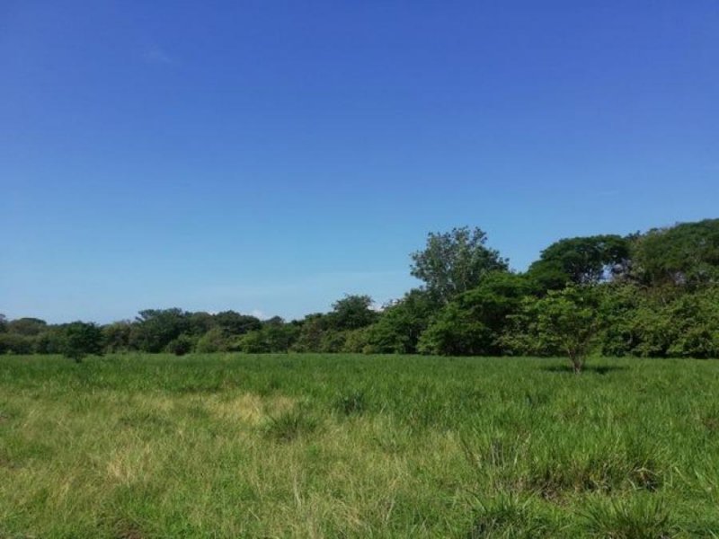 Terreno en Venta en  Nosara, Guanacaste