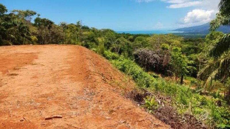 Terreno en Venta en  Bahia Ballena, Puntarenas