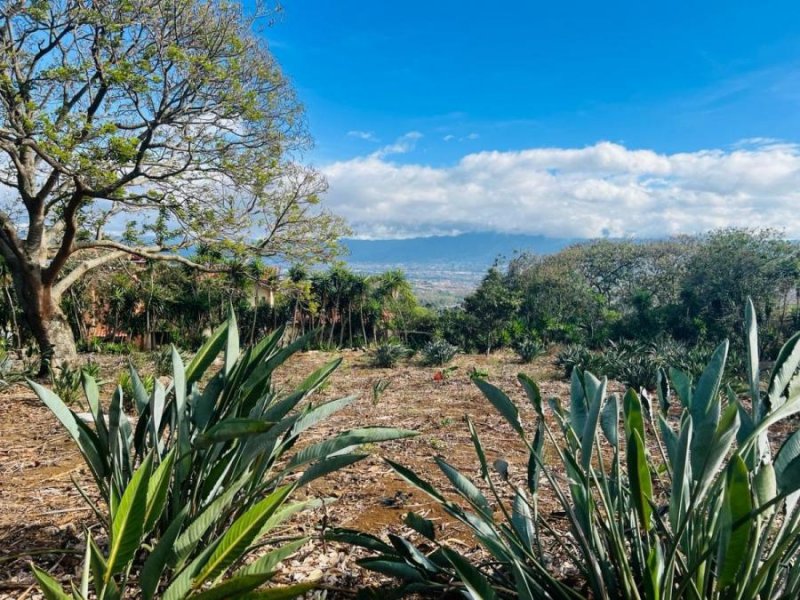 Terreno en Venta en San Rafael Concepción, Heredia