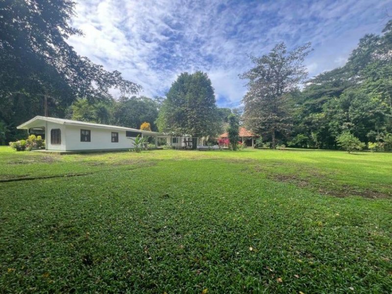 Terreno en Venta en  Guácimo, Limón