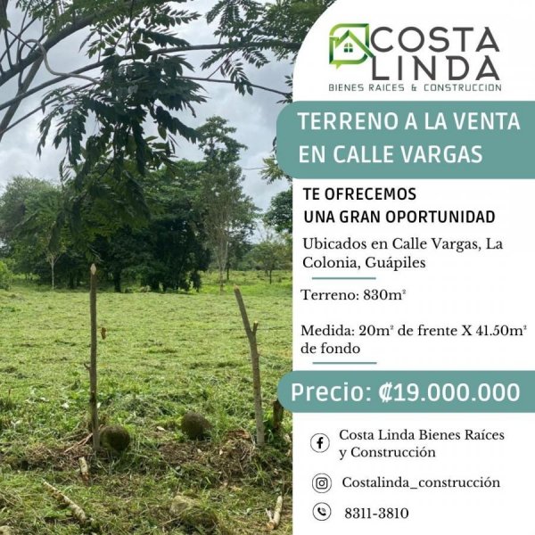 Terreno en Venta en La Colonia Guápiles, Limón