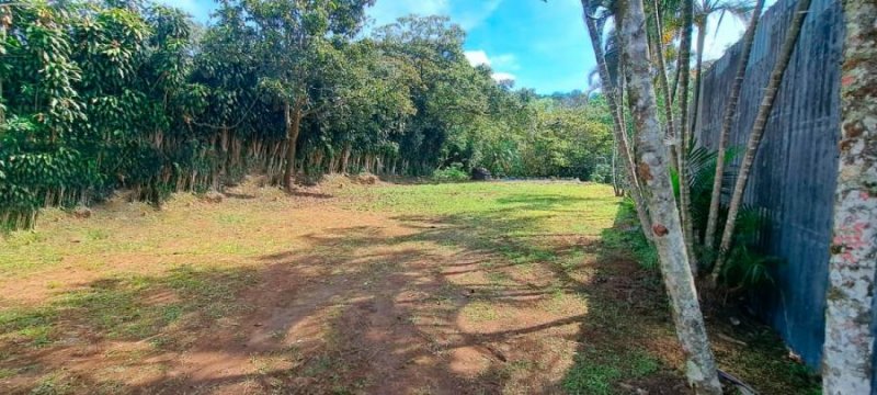 Lote en Venta en Sarchí, Alajuel