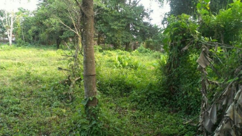 Terreno en Venta en Rio Blanco Guápiles, Limón