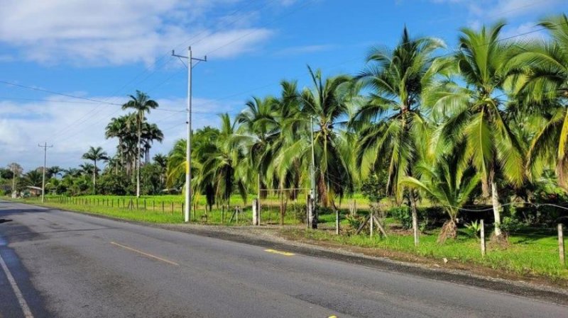 Terreno en Venta en Westfalia Matama, Limón