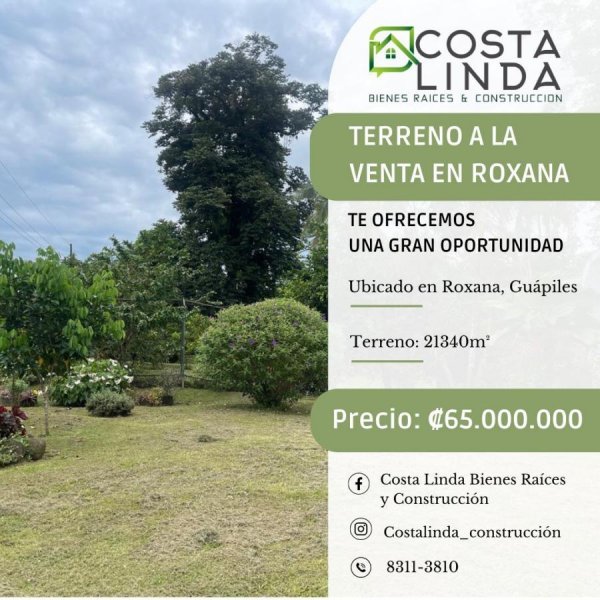 Terreno en Venta en Roxana Guápiles, Limón