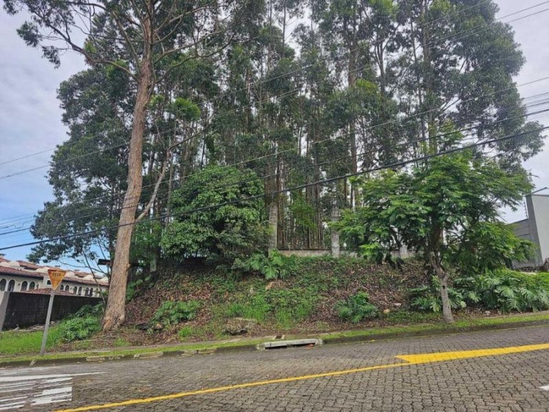 Se Vende de Extenso Terreno en La Unión, Cartago / OFC Mls. 25-682