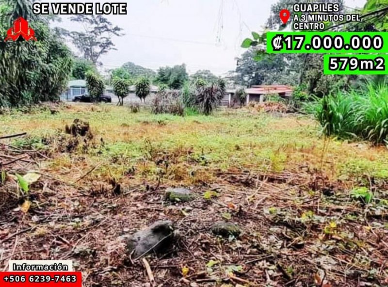 Foto Terreno en Venta en Guapiles, Guápiles, Limón - ¢ 17.000.000 - TEV114094 - BienesOnLine