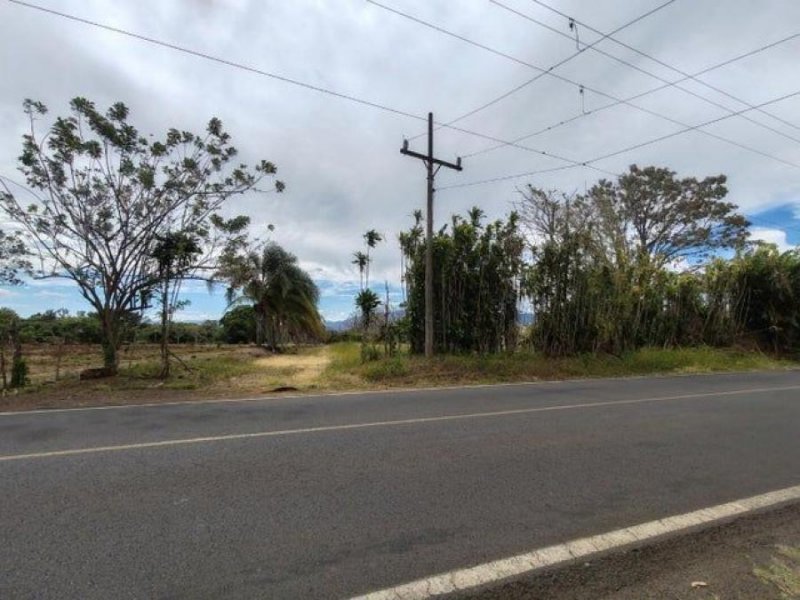 Foto Terreno en Venta en Desamparados, Alajuela - U$D 10.835.000 - TEV115073 - BienesOnLine