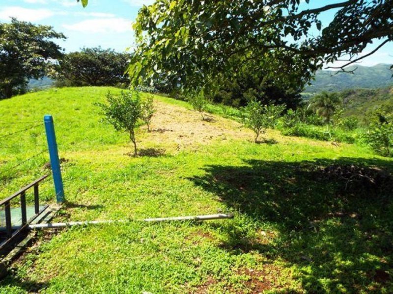 Foto Terreno en Venta en Alajuela, Alajuela - U$D 373.000 - TEV49257 - BienesOnLine