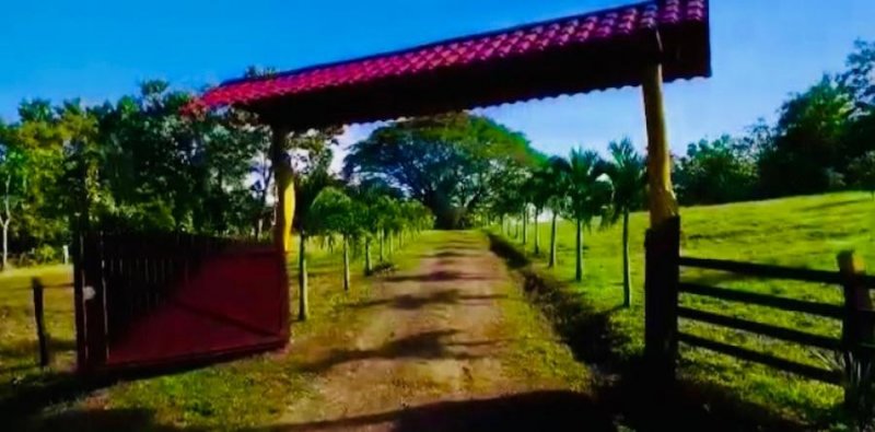 Terreno en Venta en Las Parcelas Cobano, Puntarenas