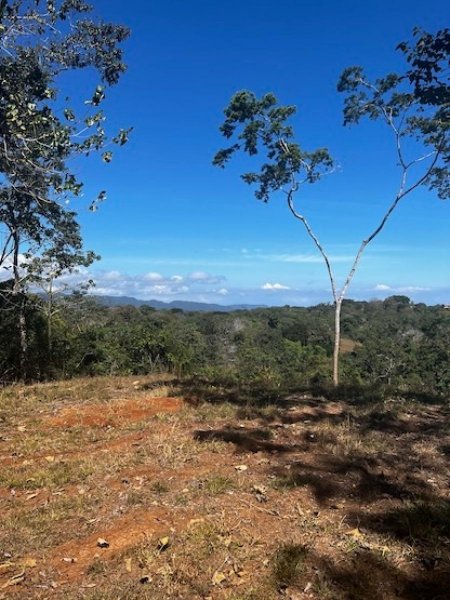 Terreno en Venta en Las Delicias Cobano, Puntarenas