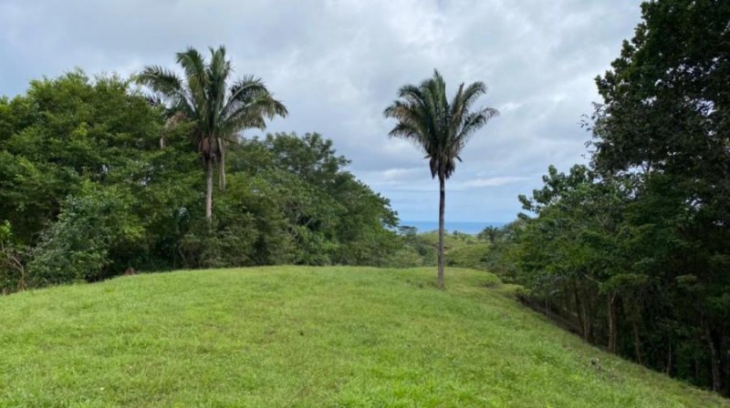 Terreno en Venta en Cóbano Cobano, Puntarenas