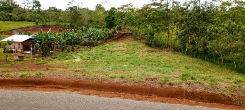 Terreno en Venta en Santa Isabel Río Cuarto, Alajuela