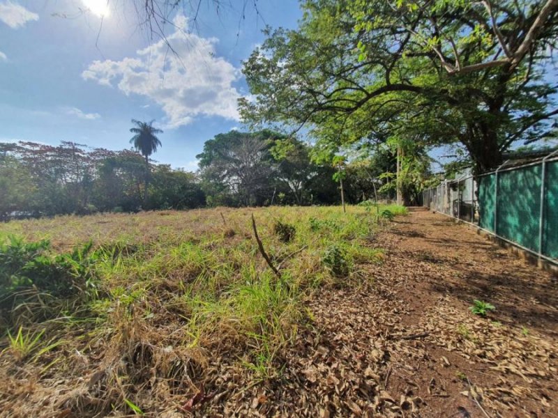 Foto Terreno en Venta en Uvita, Orotina, Alajuela - ¢ 368.450.000 - TEV95243 - BienesOnLine