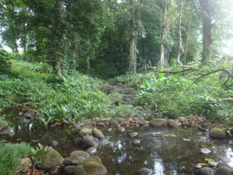 Finca en Venta en  Sarapiquí, Heredia