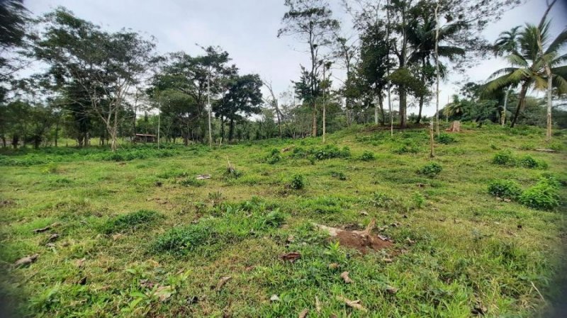 Foto Finca en Venta en KATIRA, Alajuela - ¢ 100.000.000 - FIV93106 - BienesOnLine