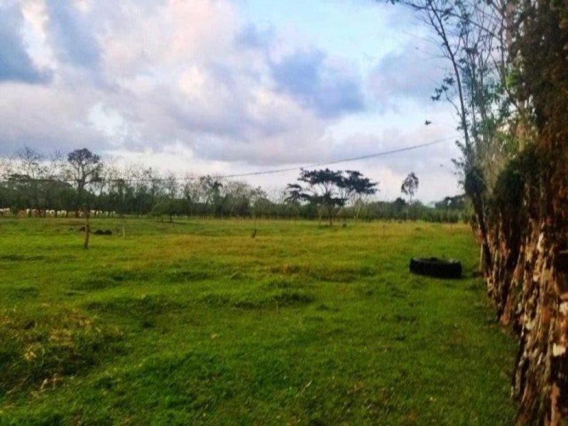 Terreno en Venta en  Guácimo, Limón