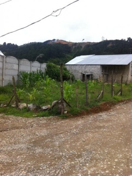 Foto Terreno en Venta en Aguacaliente, Cartago - ¢ 10.000.000 - TEV1932 - BienesOnLine