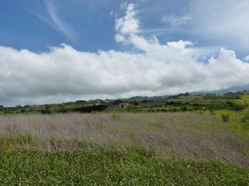 Foto Terreno en Venta en LLANO GRANDE, Cartago, Cartago - U$D 70.000 - TEV1961 - BienesOnLine