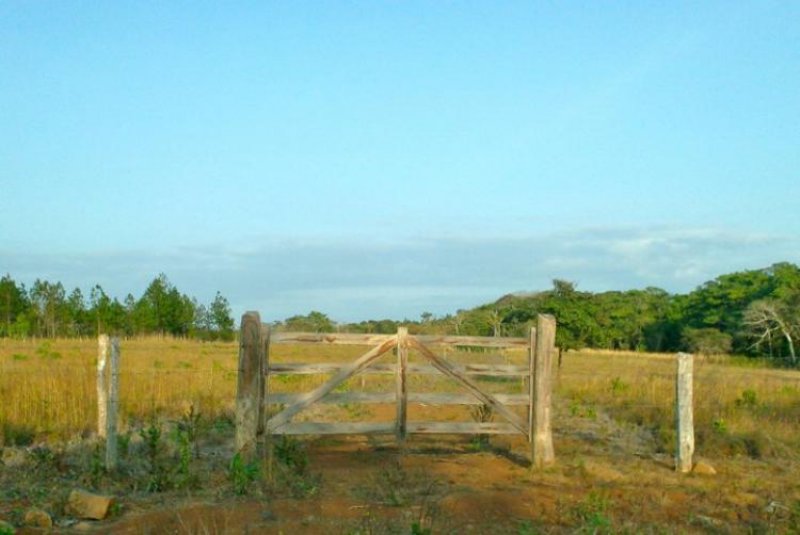 Foto Terreno en Venta en La Cruz, Guanacaste - ¢ 7.000 - TEV1330 - BienesOnLine