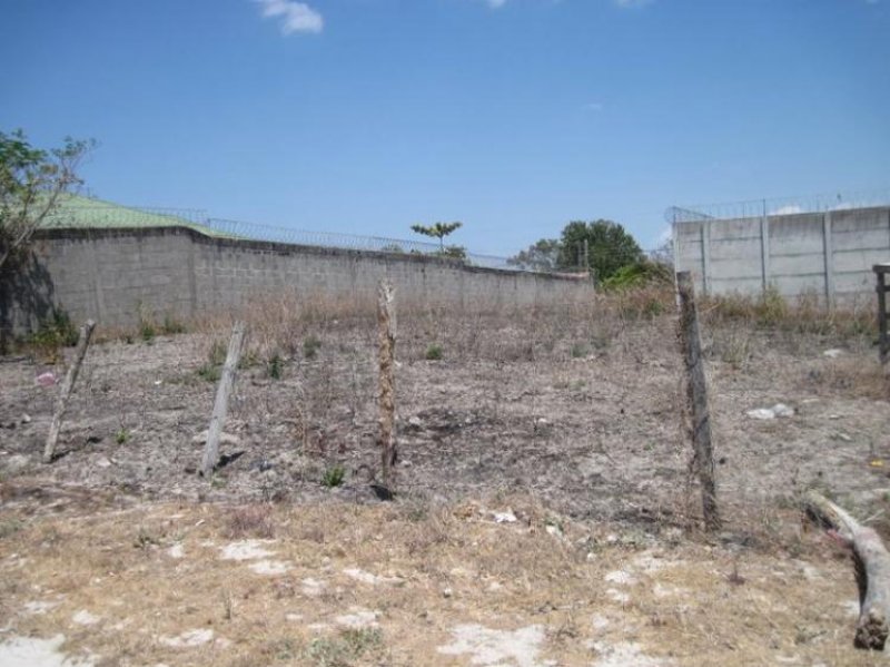 Foto Terreno en Venta en La Carreta, Liberia, Guanacaste - ¢ 10.500.000 - TEV1331 - BienesOnLine