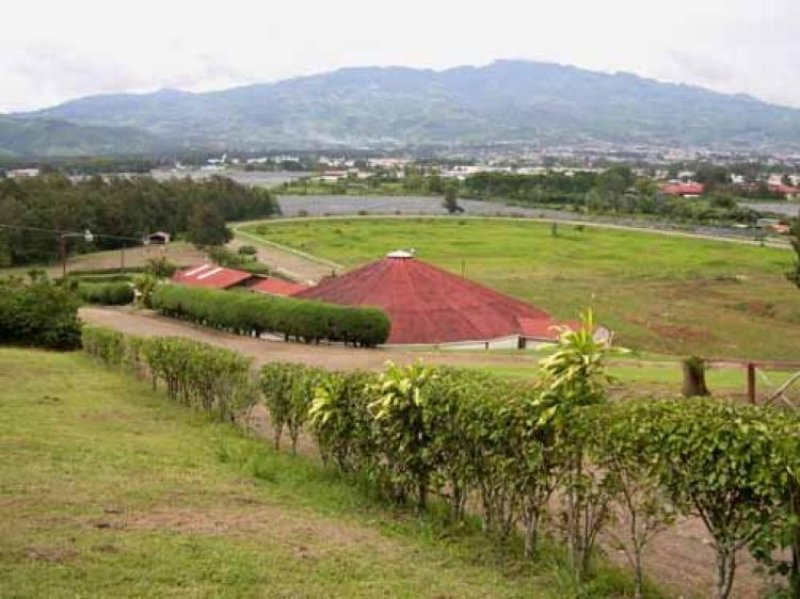 Foto Finca en Venta en El Guarco, Cartago - 23 hectareas - U$D 2.000.000 - FIV1841 - BienesOnLine