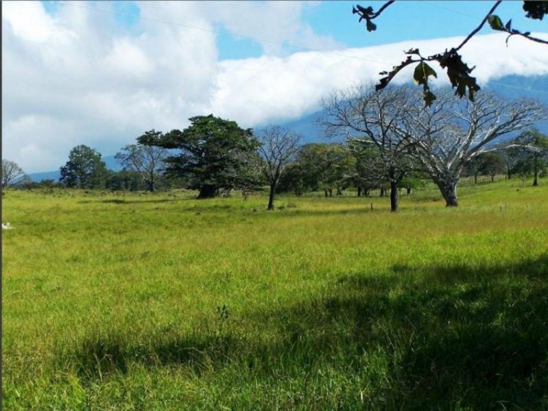 Foto Finca en Venta en Pijije, Bagaces, Guanacaste, Costa Rica, Bagaces, Guanacaste - U$D 800.000 - FIV2752 - BienesOnLine