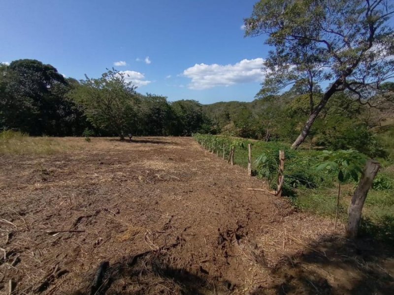 Foto Terreno en Venta en Tamarindo, Santa Cruz, Guanacaste - ¢ 42.000.000 - TEV91775 - BienesOnLine