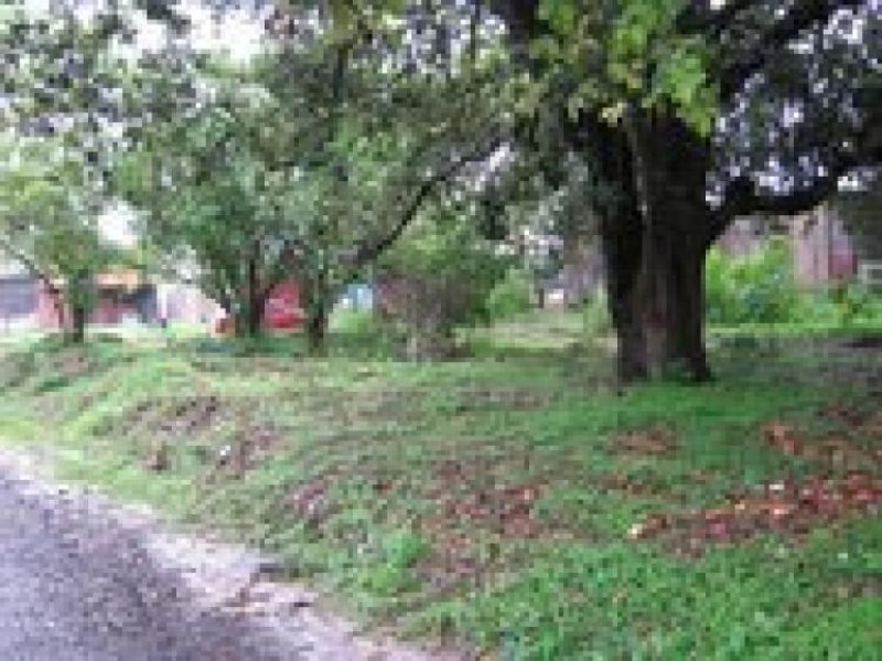 Foto Terreno en Venta en linda vista, Liberia, Guanacaste - ¢ 25.000.000 - TEV1319 - BienesOnLine