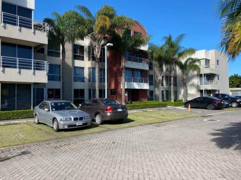 Foto Apartamento en Alquiler en Montes de Oca, San José - U$D 600 - APA45035 - BienesOnLine