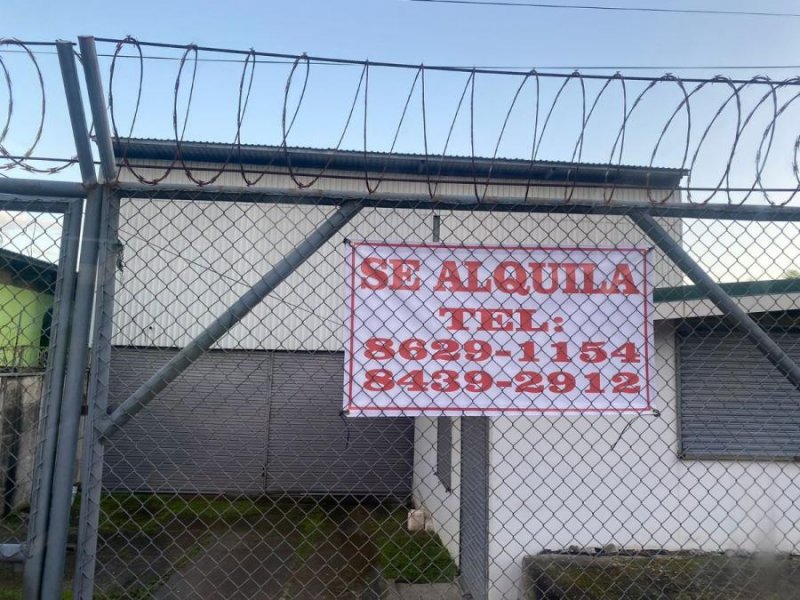 Bodega en Alquiler en San Juan Limón, Limón