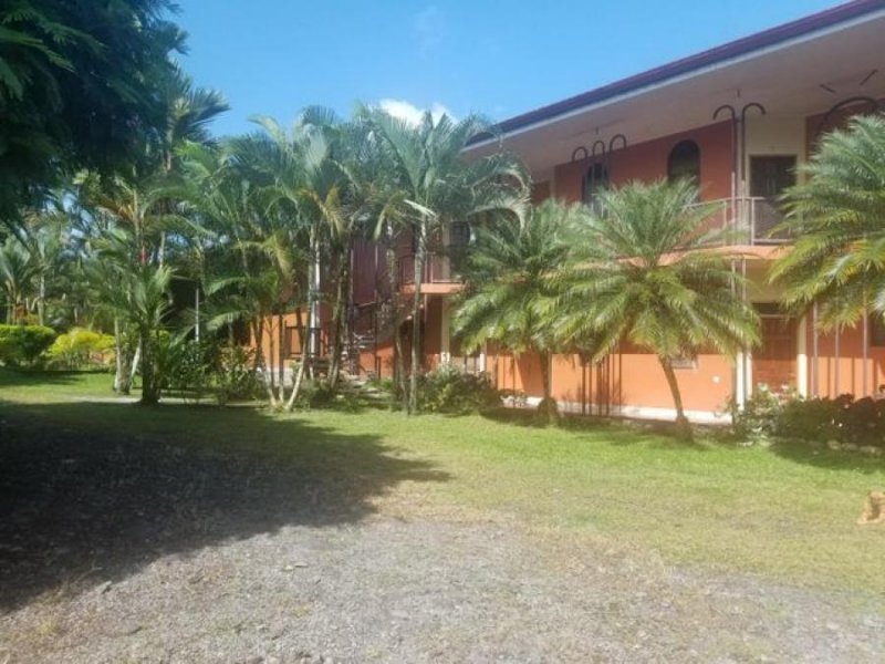 Foto Apartamento en Alquiler en Guápiles, Guápiles, Limón - ¢ 125.000 - APA43344 - BienesOnLine