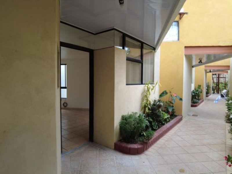 Foto Apartamento en Alquiler en Montelimar, Goicoechea, San José - ¢ 310.000 - APA45469 - BienesOnLine