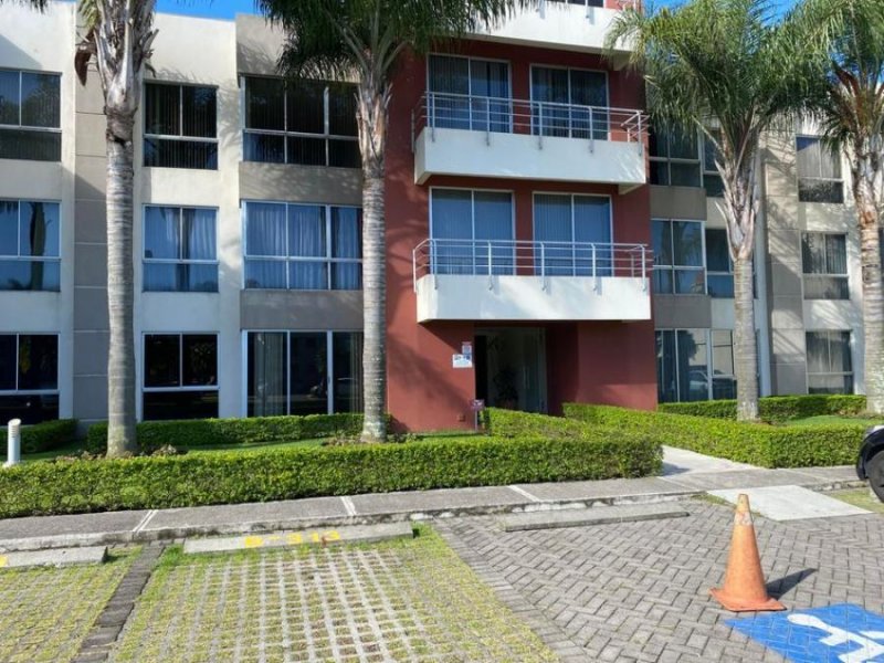 Foto Apartamento en Alquiler en Sabana, San José, San José - U$D 500 - APA51399 - BienesOnLine