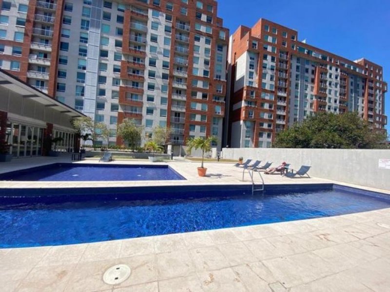 Foto Apartamento en Alquiler en Don Bosco, San José, San José - ¢ 450.000 - APA55115 - BienesOnLine