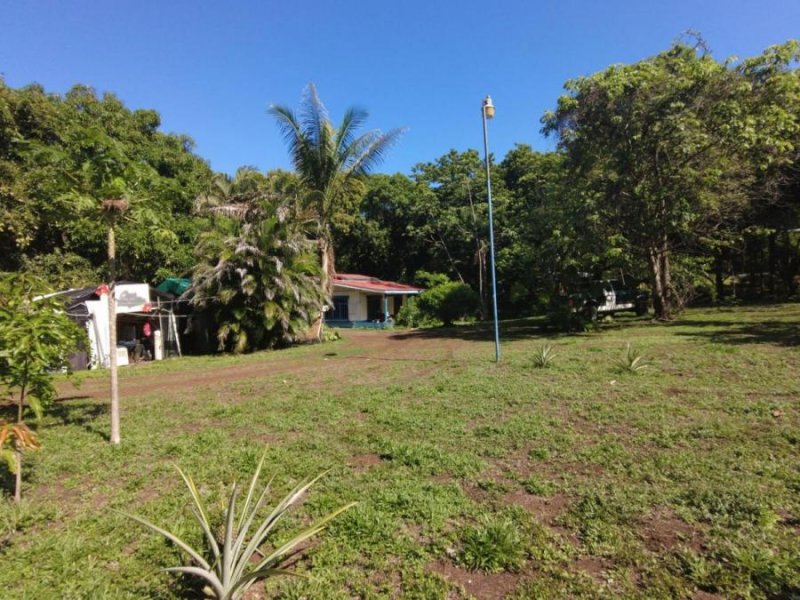 Casa en Alquiler en  Orotina, Alajuela